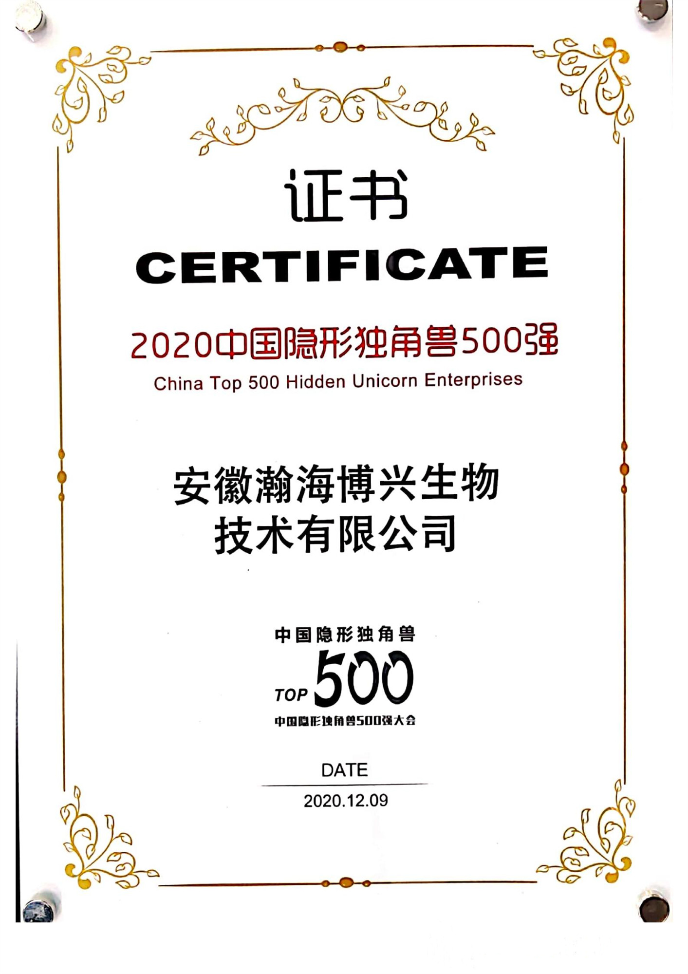 2020年中國隱形獨角獸500強