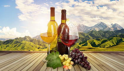 杯中光影 品味紅酒的藝術與酒杯的造型